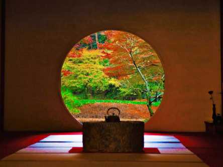 朝から晩まで秋尽くし！鎌倉の“秋限定”をもれなく巡る、紅葉モデルプラン