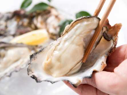 宮島のフレッシュ牡蠣は生でも焼きでも、ワインともOK！牡蠣三昧の「牡蠣屋」へ
