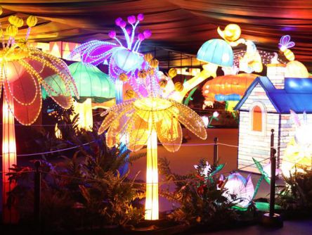 福井県のおすすめイルミネーション（2019-2020）クリスマスや冬デートに！