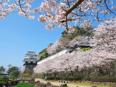 長崎県のお花見・桜の名所（2021）夜桜・ライトアップや桜祭りも