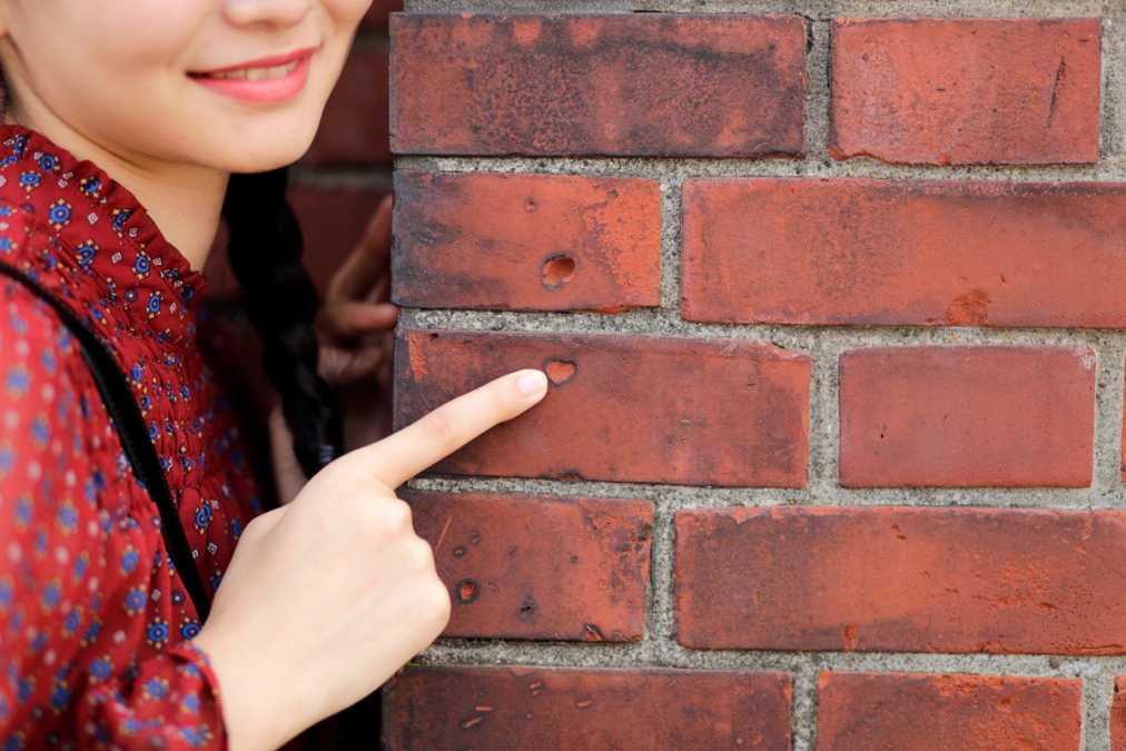 見て、見て!赤レンガの中にハート形のくぼみを発見